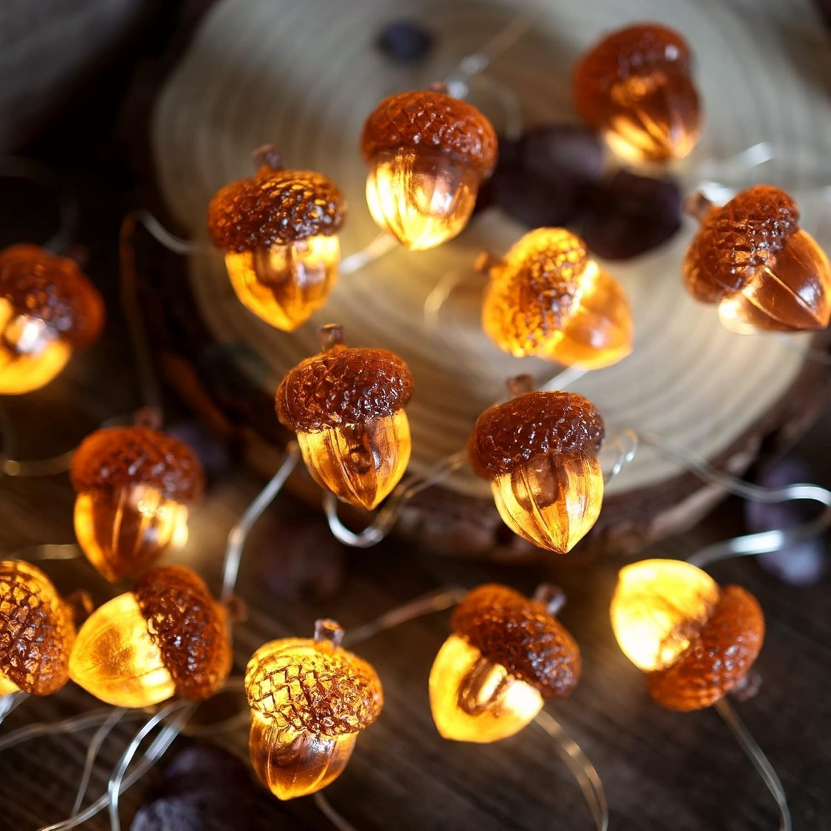 Led Fairy String Lights - 30 leds Acorn String Lights decorazioni