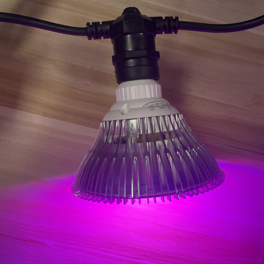 Cavo LED da 10 m, impermeabile - Led Fairy String Lights recensione e prezzo
