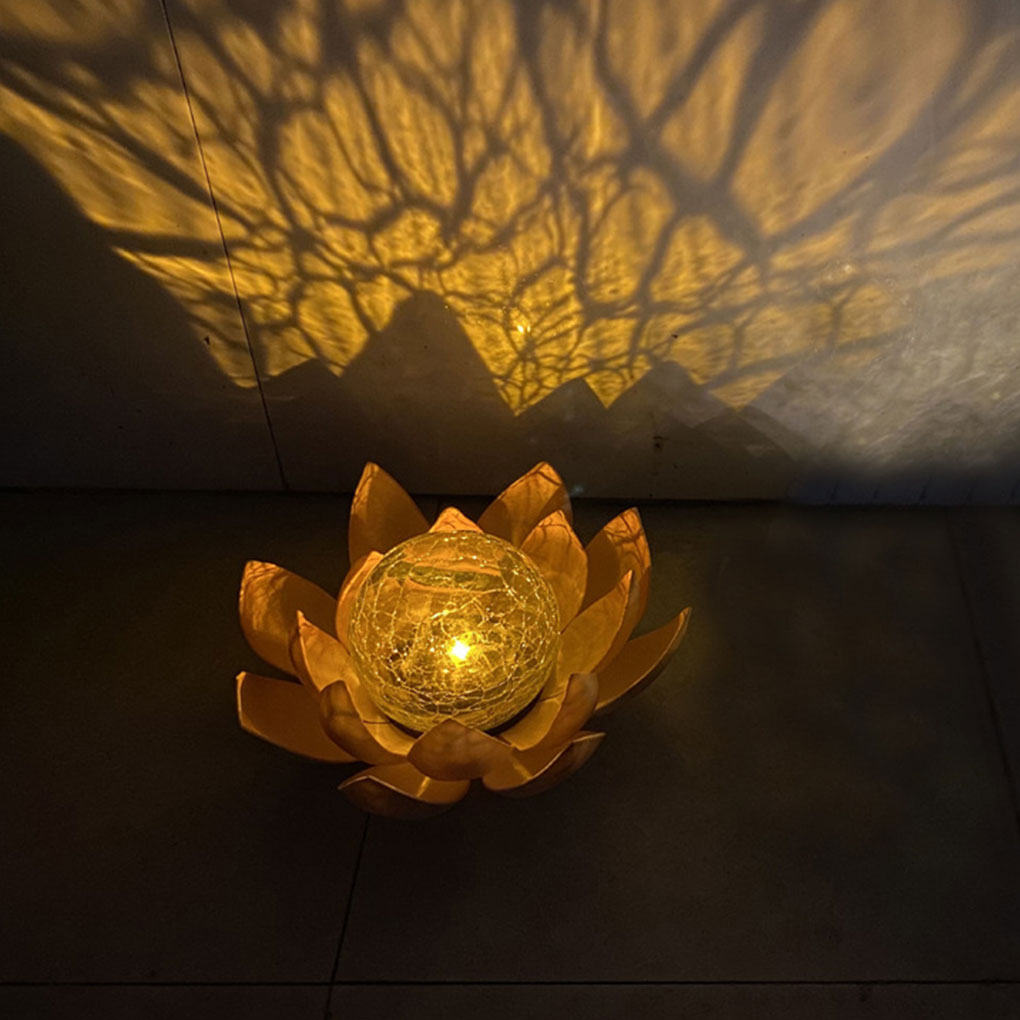 Luci solari da giardino a form - Christmas Lights Outdoor recensione e prezzo
